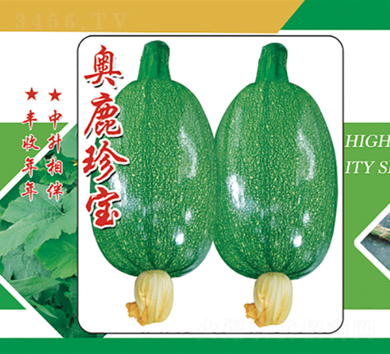 �W¹�䌚-�����J�N��-�����r�I(y��)