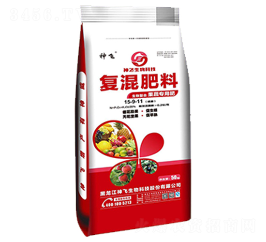 ���ߌ��Ïͻ����15-9-11-���w