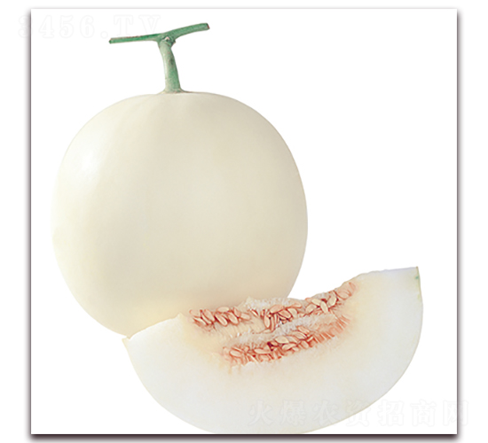 �ձ���ɯ-��ϷN��-��ʢԪ