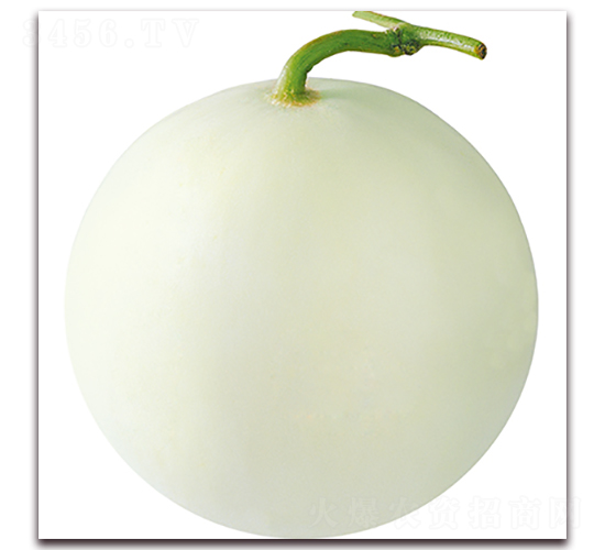 ���ۃ�-��ϷN��-��ʢԪ