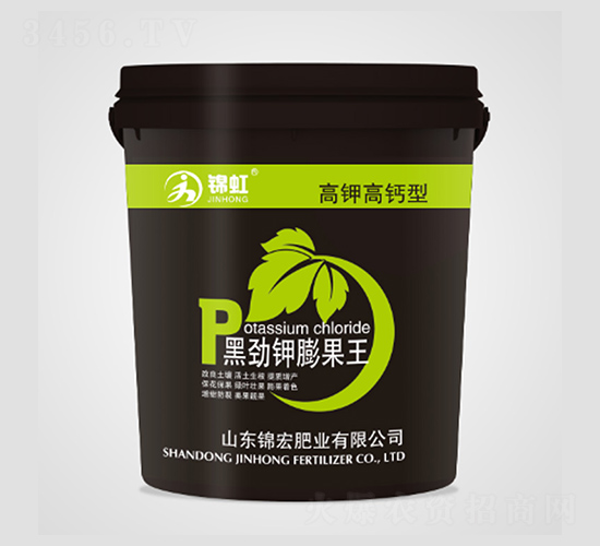 �ڄ�������-�\��