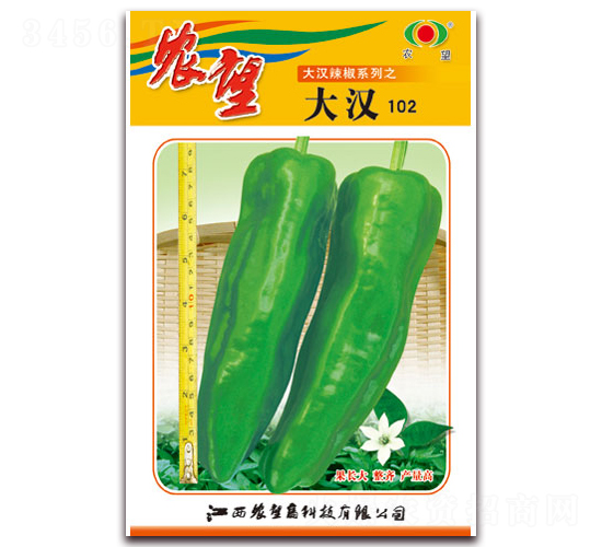 ��h102̖-�ݽ��N��-�r(n��ng)��