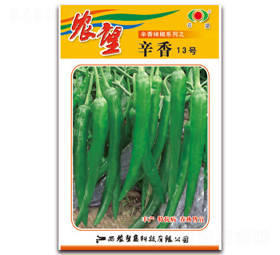 辛香13號-尖椒種子-農(nóng)望