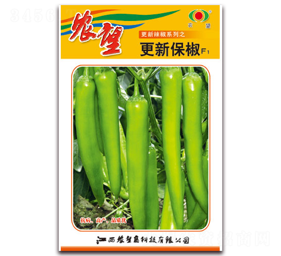 ���±���-�⽷�N��-�r(n��ng)��