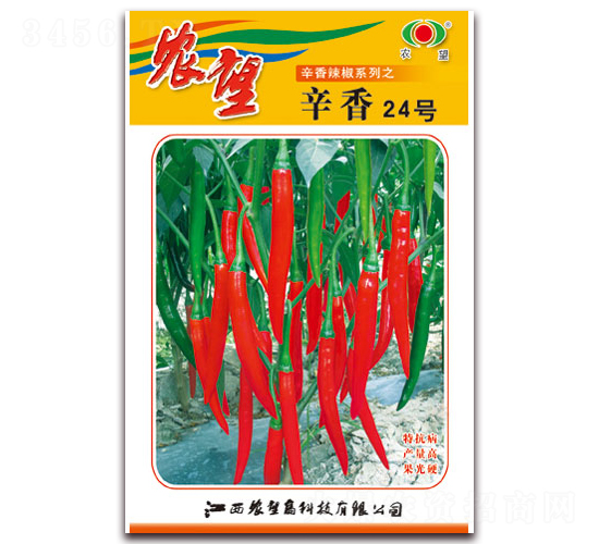 ����24̖-�⽷�N��-�r(n��ng)��