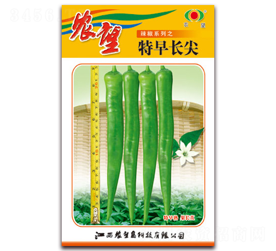 �����L��-�⽷�N��-�r(n��ng)��