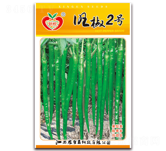 ����2̖-�����N��-�r(n��ng)��