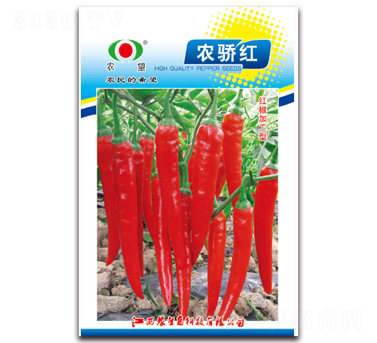 �r(n��ng)�t-�����N��-�r(n��ng)��