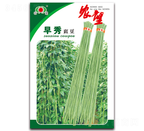 早秀-豇豆種子-農(nóng)望