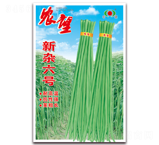 新雜六號-豇豆種子-農(nóng)望