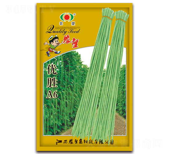 優(yōu)勝A6-豇豆種子-農(nóng)望