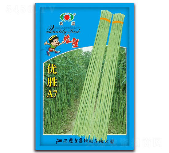 優(yōu)勝A7-豇豆種子-農(nóng)望