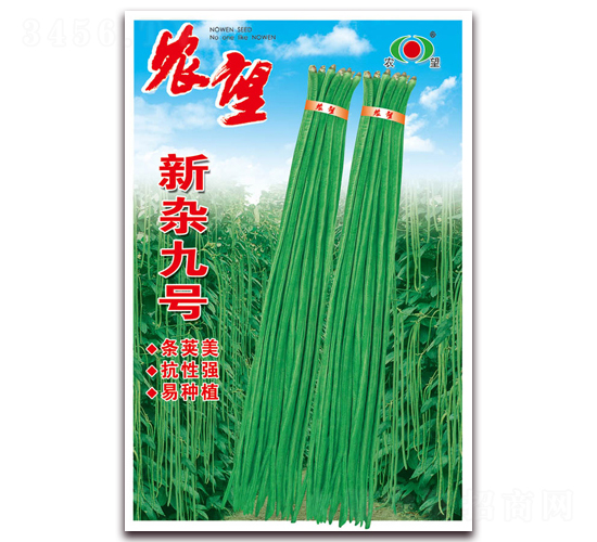 新雜九號-豇豆種子-農(nóng)望