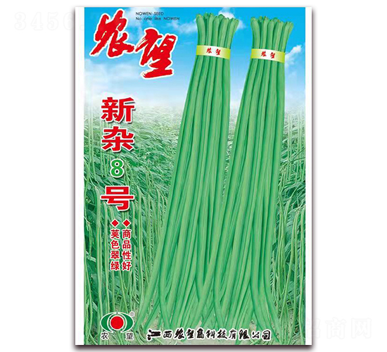 ���s8̖-�����N��-�r��