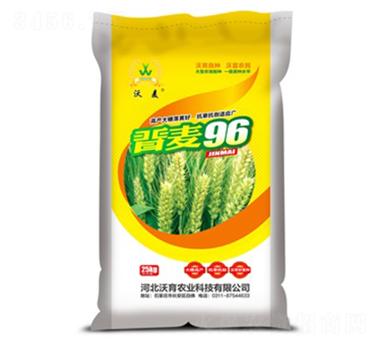 晉麥96-小麥種子-沃育農業(yè)