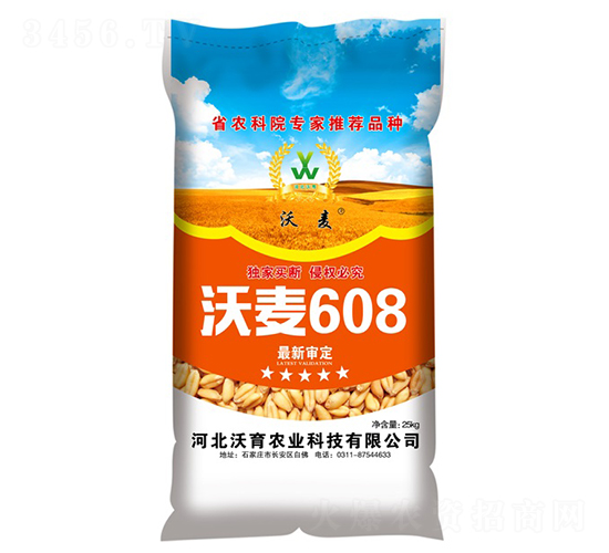 沃麥608-小麥種子-沃育農(nóng)業(yè)