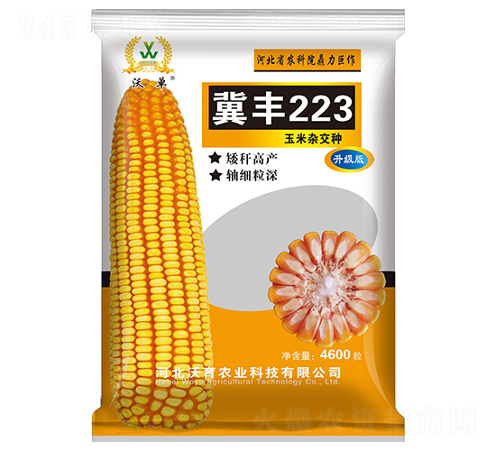 冀豐223-玉米種子-沃育農(nóng)業(yè)