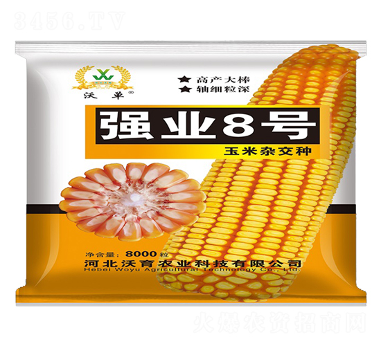 強(qiáng)業(yè)8號(hào)-玉米種子-沃育農(nóng)業(yè)