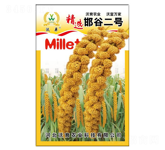 邯谷一號-水稻種子-沃育農(nóng)業(yè)