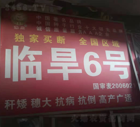 臨旱6號(hào)-小麥種子-國(guó)科農(nóng)業(yè)