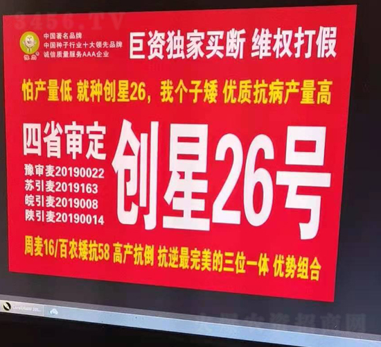 創(chuàng)星26號-小麥種子-國科農(nóng)業(yè)