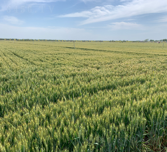 ����7698-С���N��-���\�N�I(y��)