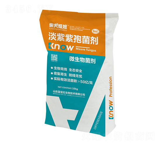 �������߾���-�����-�{��ʯ