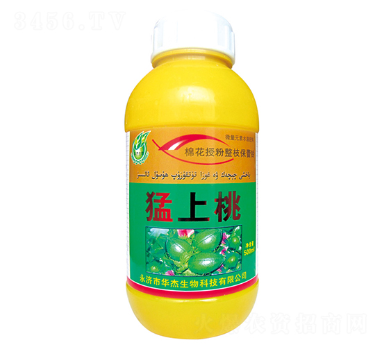 ������-�A������