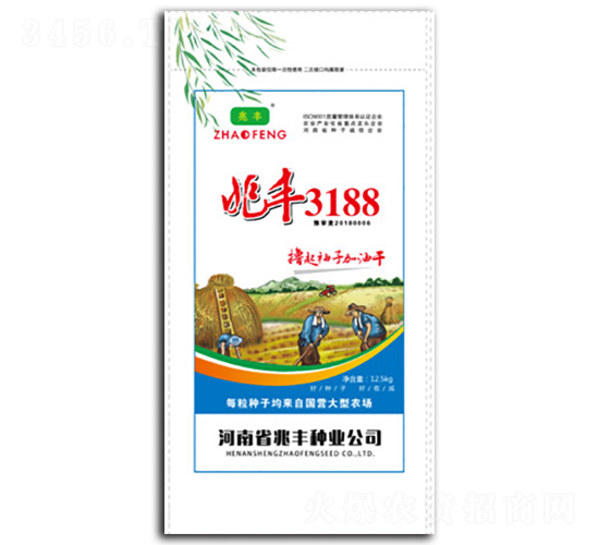 兆豐3188-小麥種子-兆豐