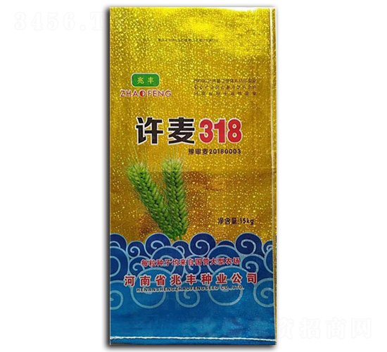 許麥318-小麥種子-兆豐