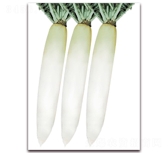 ����-����}���N��-���r(n��ng)���v