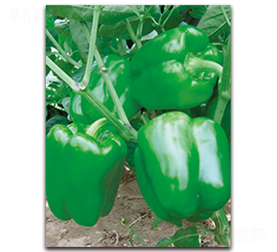 �_(d��)��-�𽷷N��-���r(n��ng)���v