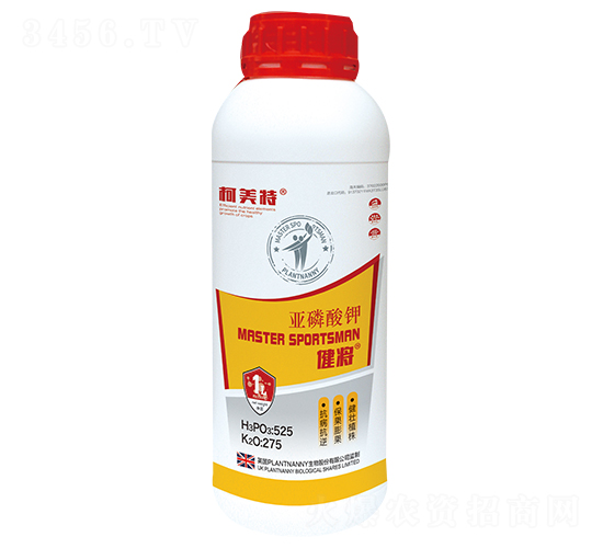 �������-����-������