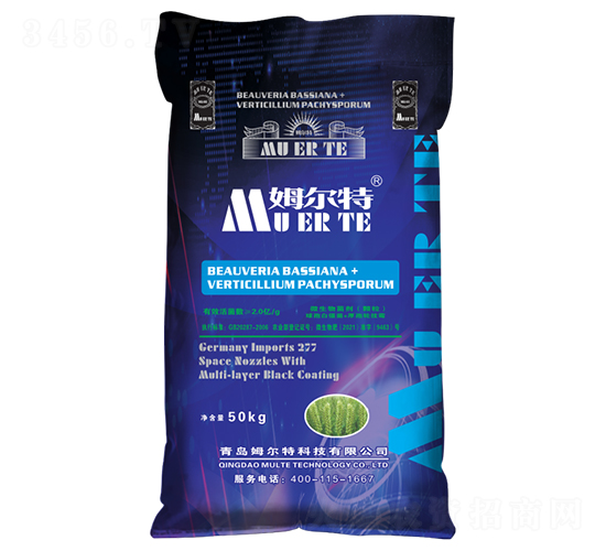 ��ʮ��С���������طN��-ķ����-���ݳ���