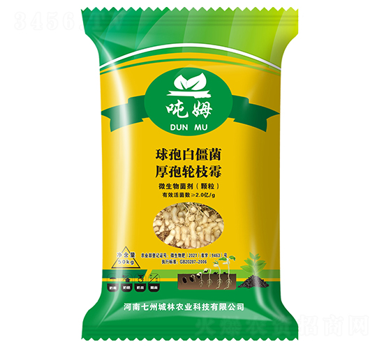 �����طN��-��ķ-���ݳ���