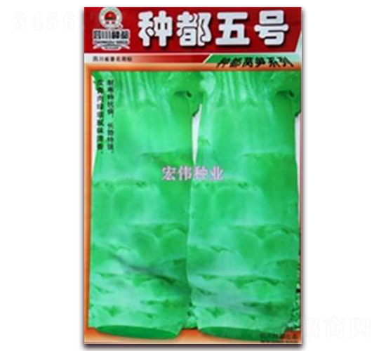 �N����̖-�n�ķN��-�ꂥ�N�I(y��)