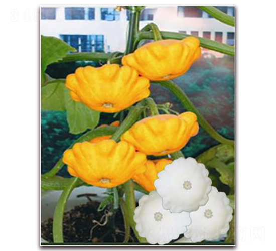 ���S�w��-�����J�N��-�ꂥ�N�I(y��)