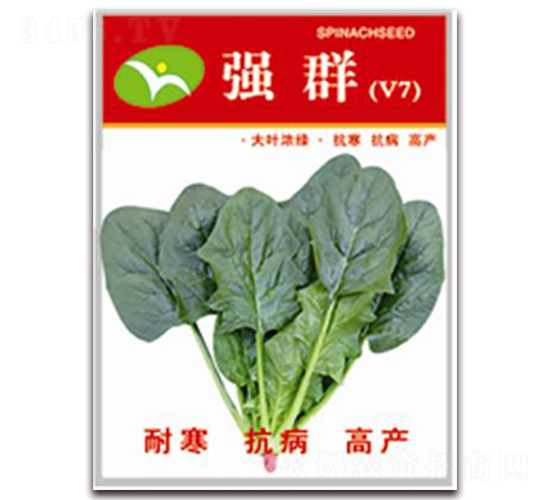 ��Ⱥ-���˷N��-�ꂥ�N�I(y��)