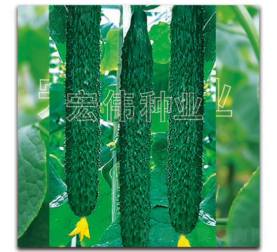 ���r(n��ng)��̖(h��o)-�S�ϷN��-�ꂥ�N�I(y��)