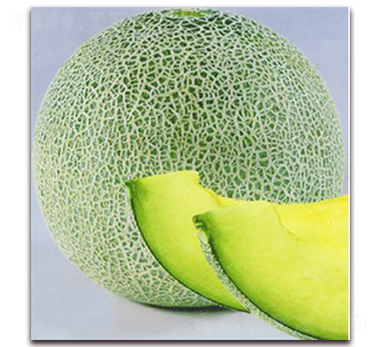 ����-��ϷN��-�ꂥ�N�I(y��)