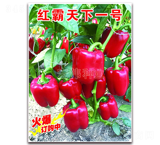 �t������һ̖-�����N��-�ꂥ�N�I(y��)