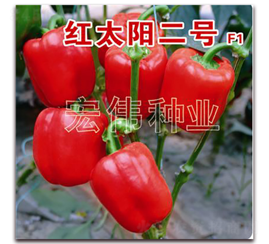 �t̫�2̖-�����N��-�ꂥ�N�I(y��)