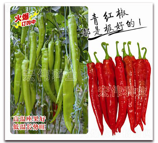 �׵�һ̖(h��o)-�����N��-�ꂥ�N�I(y��)