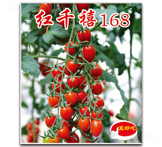 �tǧ��168-�������t���N��-�ꂥ�N�I(y��)