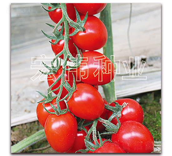 �t��189-�������t���N��-�ꂥ�N�I(y��)