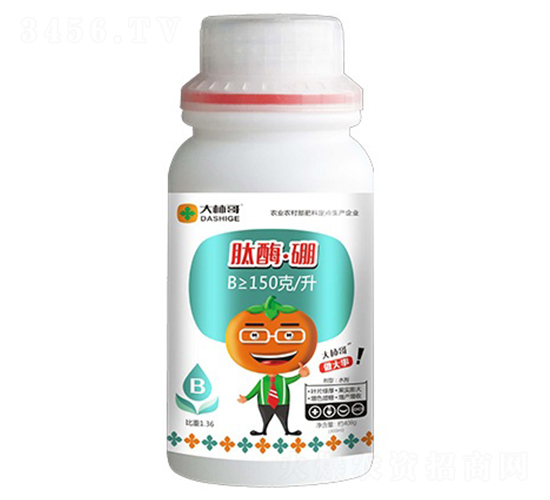 肽酶·硼-大柿哥