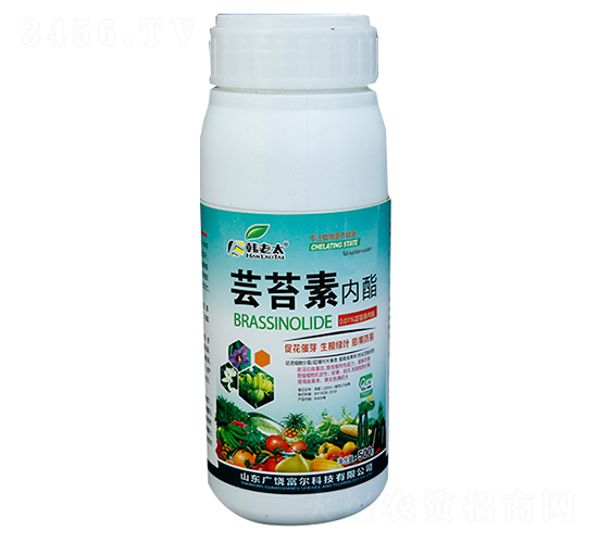 �|̦�؃�(n��i)��-�����Ƽ�