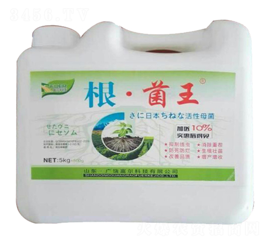 ��������-�����Ƽ�