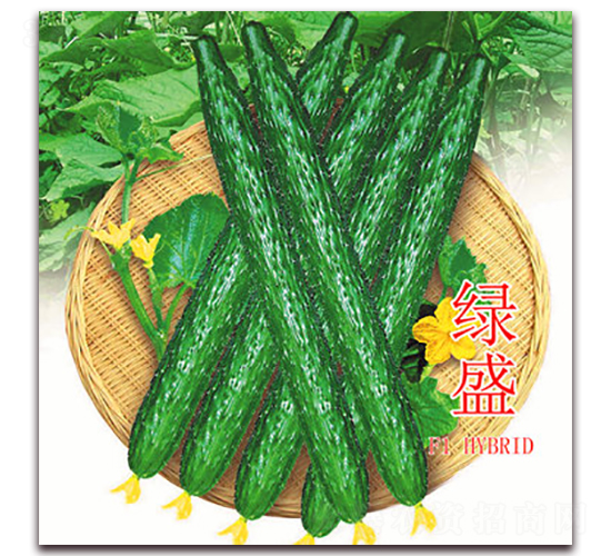 �Gʢ-�S�ϷN��-�|�Z�r(n��ng)�I(y��)