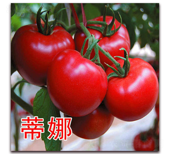 ����-�۹����ѷN��-�|�Z�r(n��ng)�I(y��)